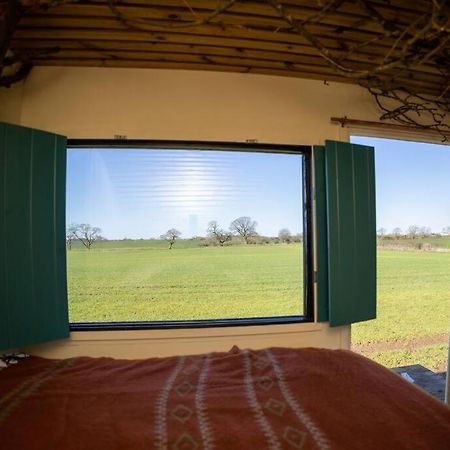 'Pipistrelle' Remote Off-Grid Micro Cabin Villa Sedgefield Kültér fotó
