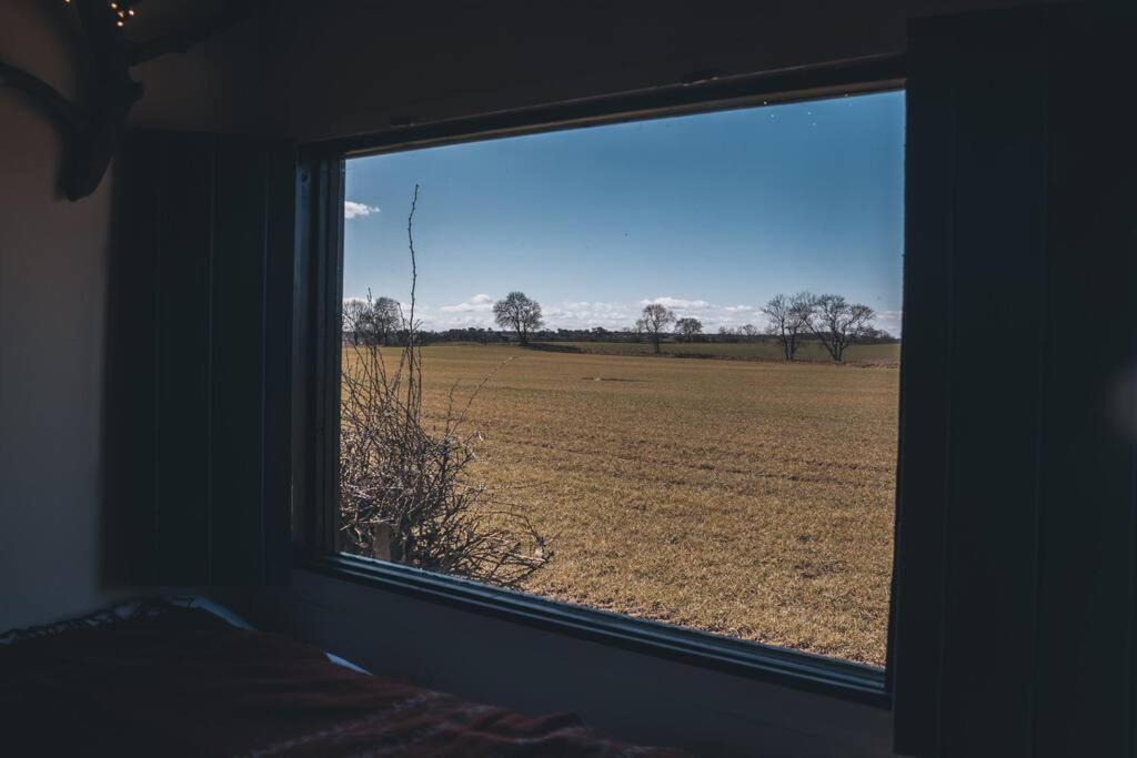 'Pipistrelle' Remote Off-Grid Micro Cabin Villa Sedgefield Kültér fotó