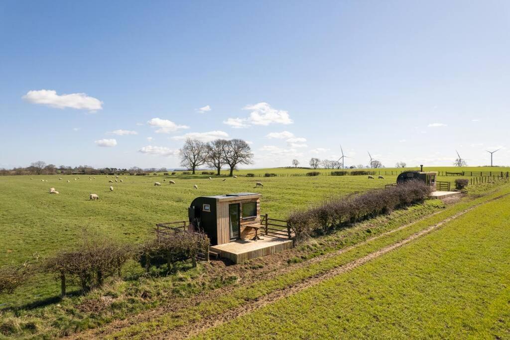 'Pipistrelle' Remote Off-Grid Micro Cabin Villa Sedgefield Kültér fotó