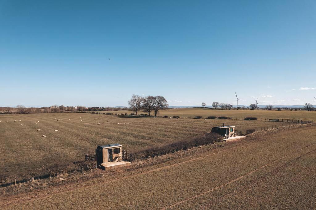 'Pipistrelle' Remote Off-Grid Micro Cabin Villa Sedgefield Kültér fotó